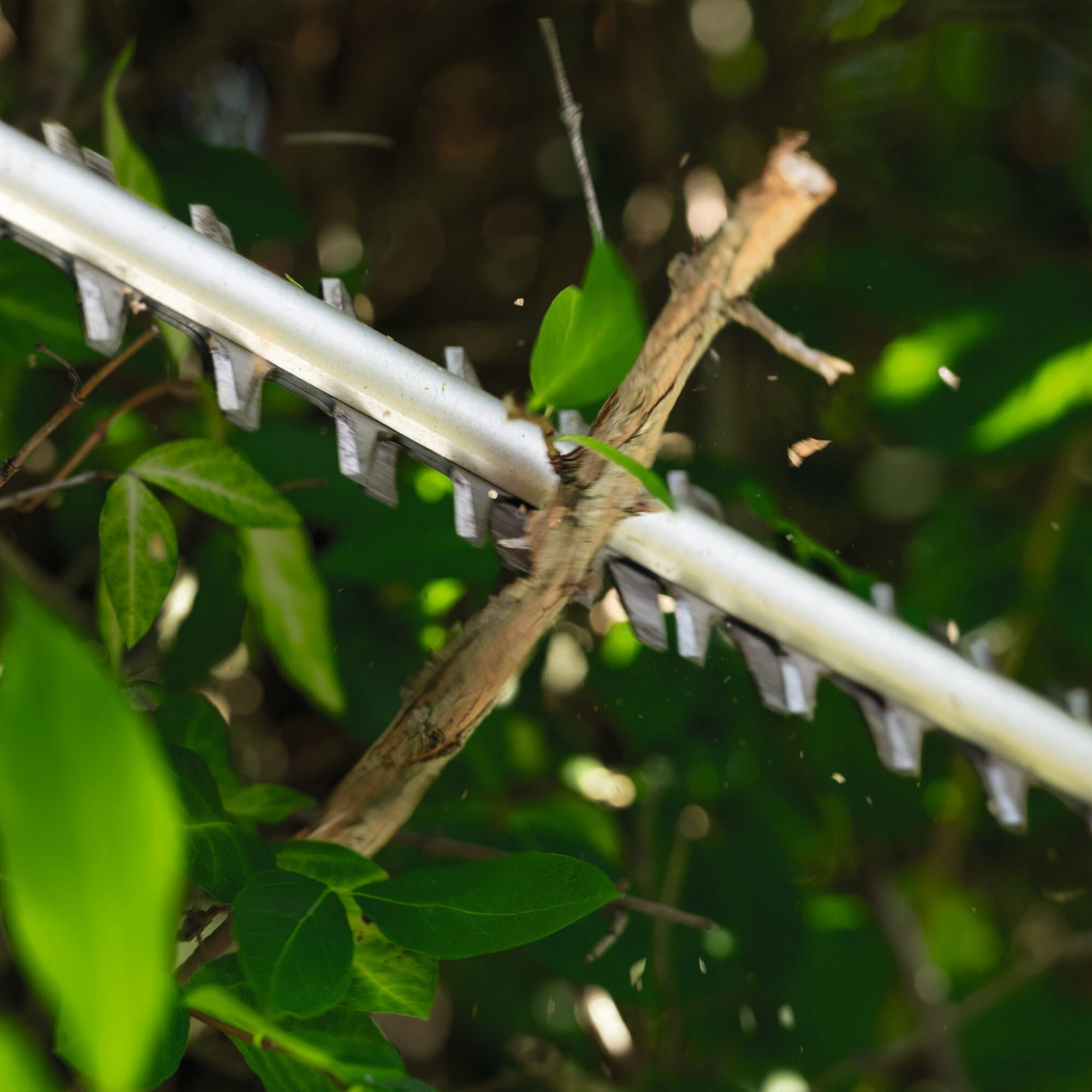A macro close-up view of the dual-action diamond-ground blades on the Bosch cordless garden pruning tool slicing cleanly through a dense wood branch up to 3/4-inch thick, demonstrating the electronic anti-blocking technology system.
