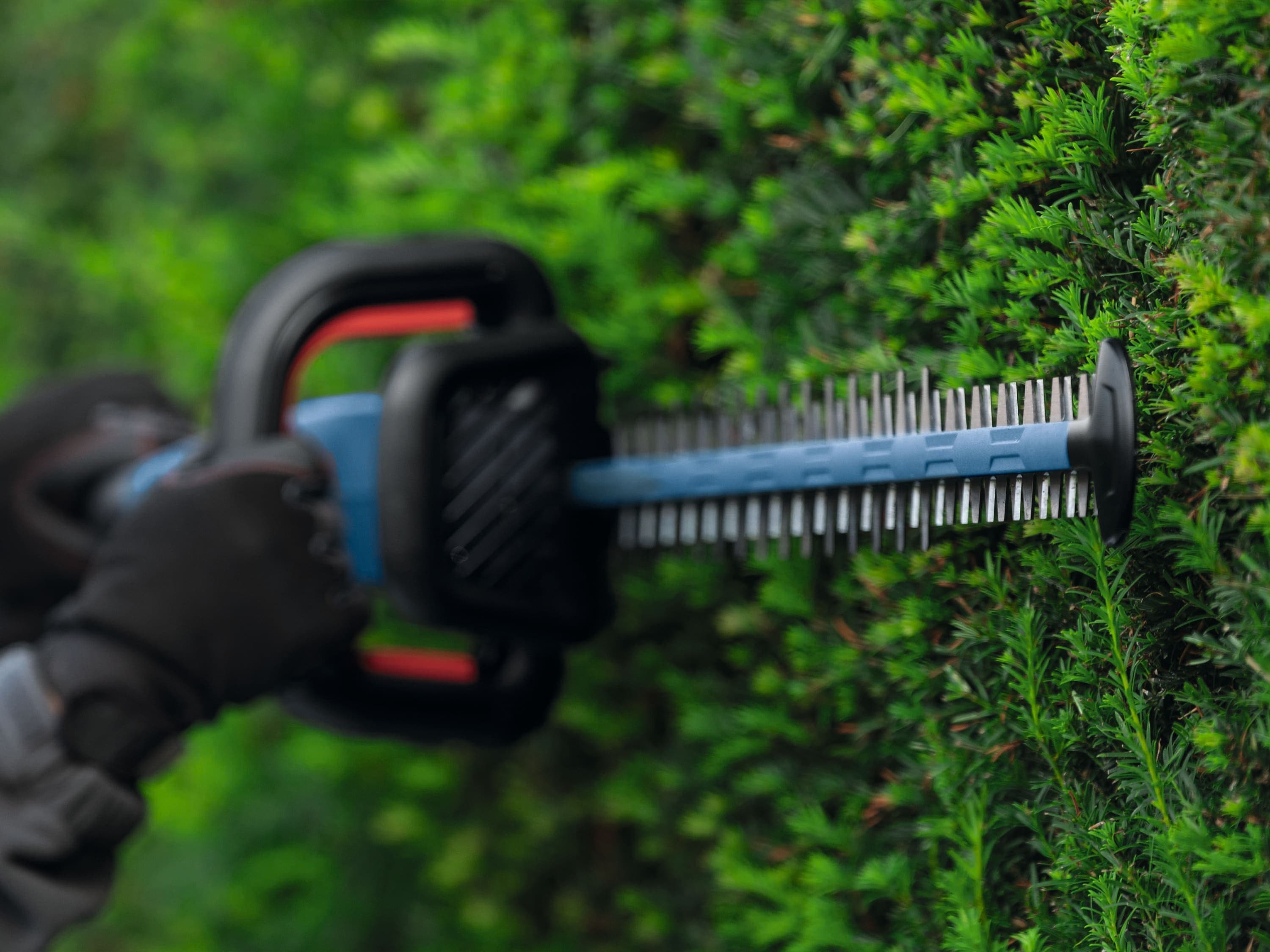 A close-up action shot focusing on the silver reciprocating steel teeth of a 24-inch dual-action hedge trimmer blade as a worker wearing protective gloves guides it horizontally through dense green shrub leaves.