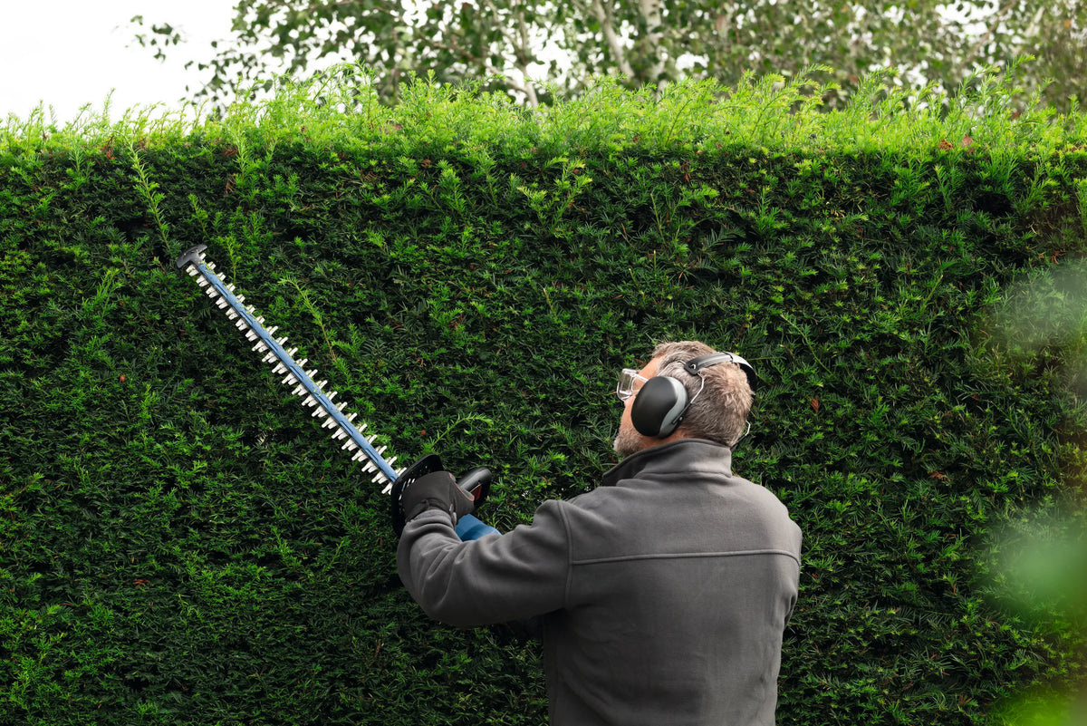 An application shot from behind a property manager wearing safety glasses and protective earmuffs as he raises the lightweight 24-inch trimmer overhead to slice a perfectly flat, clean level across the top edge of a massive, manicured privacy hedge wall.