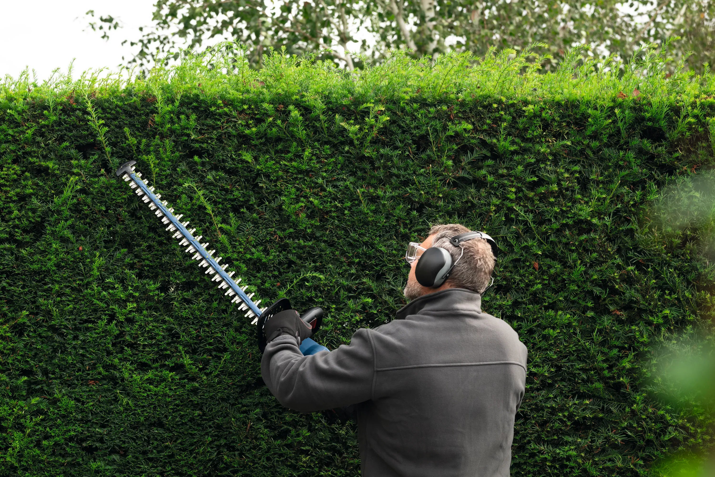 An application shot from behind a property manager wearing safety glasses and protective earmuffs as he raises the lightweight 24-inch trimmer overhead to slice a perfectly flat, clean level across the top edge of a massive, manicured privacy hedge wall.