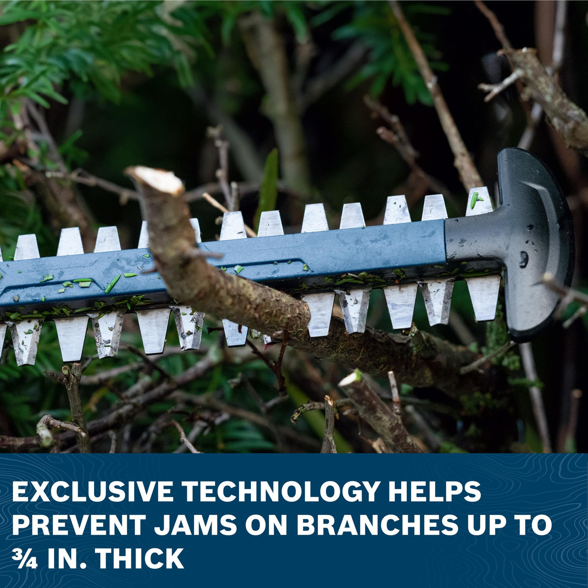 A macro close-up graphic focused on a thick, woody branch positioned directly inside the reciprocating steel teeth of the dual-action hedge trimmer blade to showcase the tool's performance, set against a dark blue banner reading EXCLUSIVE TECHNOLOGY HELPS PREVENT JAMS ON BRANCHES UP TO 3/4 IN. THICK.