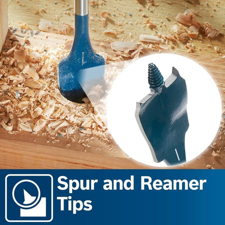 Close-up detail view of the threaded tip and spur entering a piece of wood with text pointing out the spur and reamer tips.