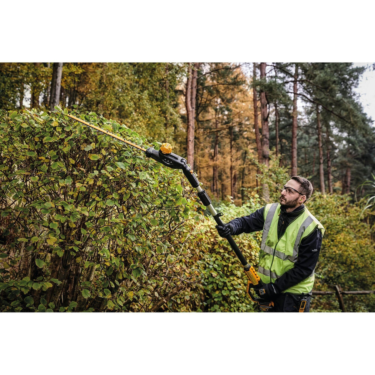 Action shot of a professional landscaper using the DEWALT 20V MAX pole hedge trimmer to reach and trim the top of a tall garden hedge from a safe standing position.