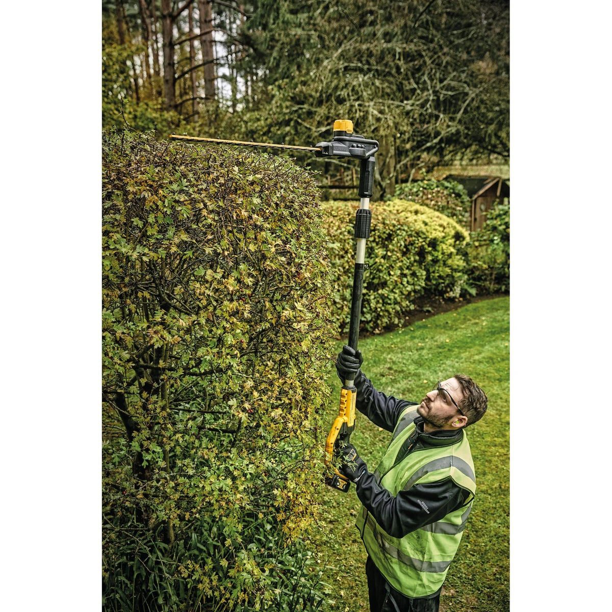 Overhead action shot of a professional gardener using the DEWALT articulating pole trimmer to create a clean, flat finish on the top of a large shrub without the use of a ladder.
