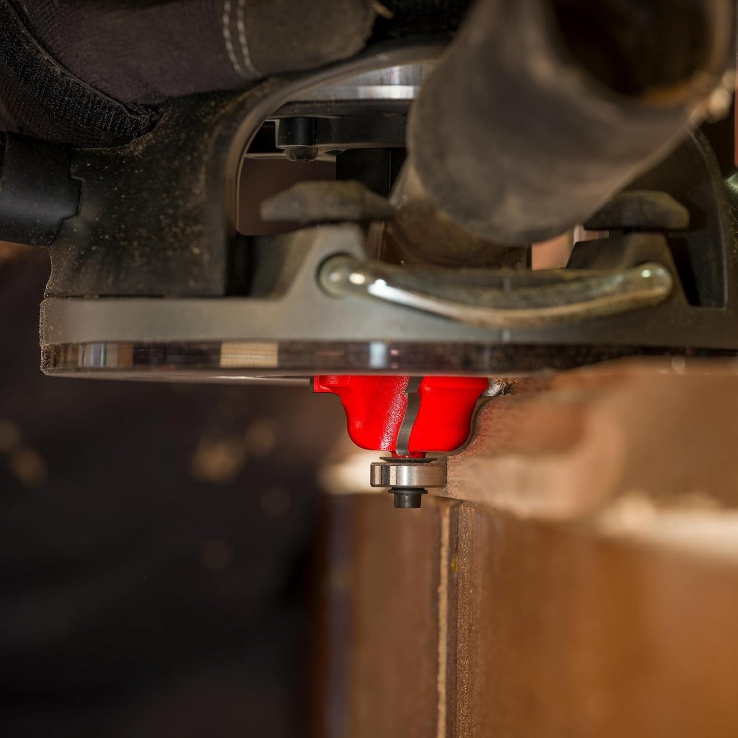 Close-up action shot of a hand router equipped with a red Freud Roman Ogee bit shaping a smooth, decorative edge profile on a piece of solid wood.