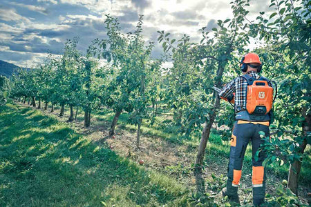 A worker in full protective tree care equipment and a battery backpack sprayer standing in an apple orchard, demonstrating the professional application of Husqvarna battery-powered tools.