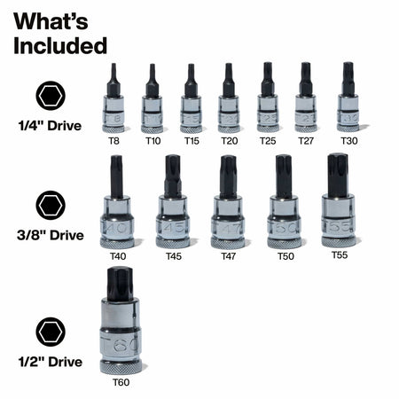 Diagram detailing 13 TORX bit sockets divided across 1/4, 3/8, and 1/2-inch drive sizes ranging from T8 up to T60 star profiles.