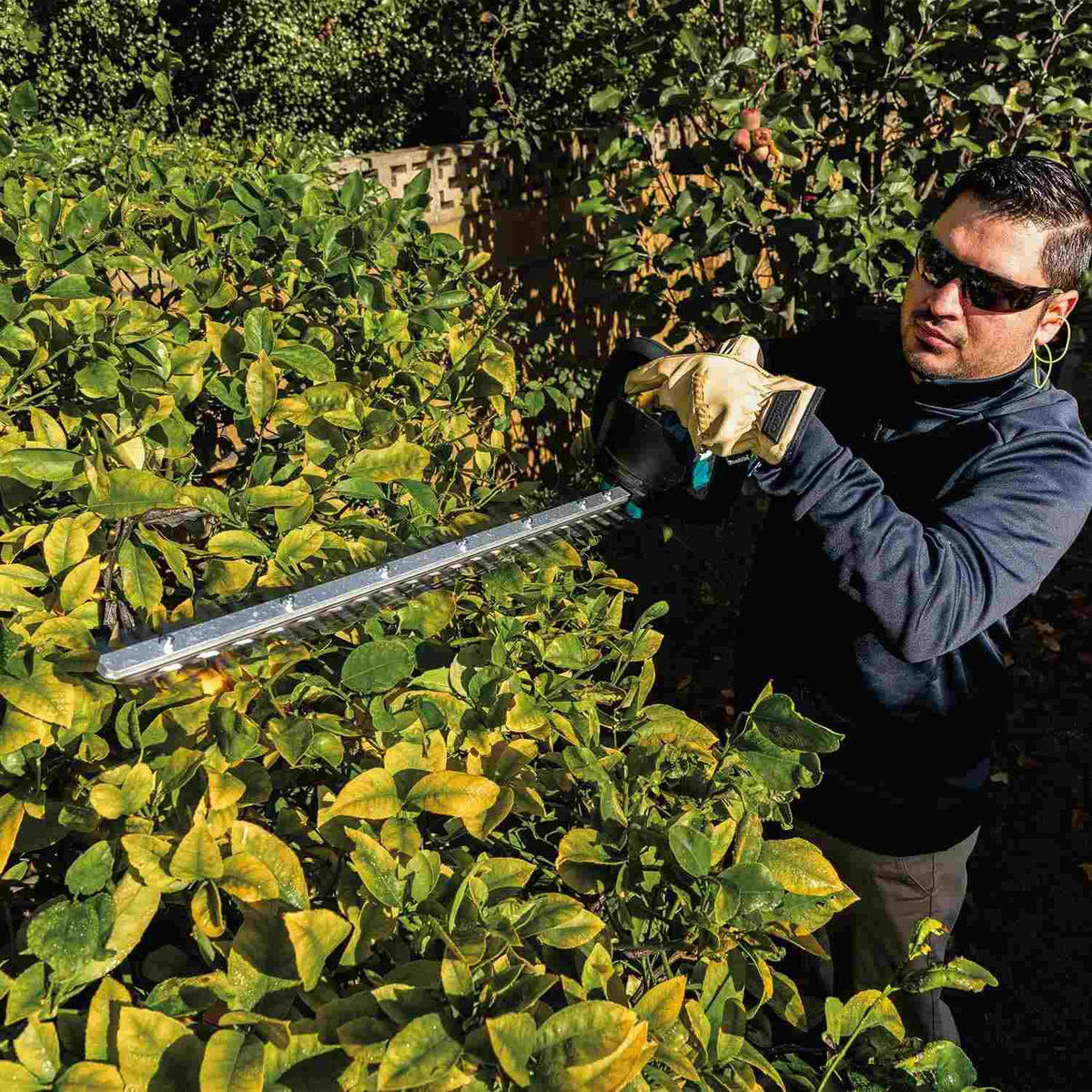 Perspective shot of a worker utilizing the high-speed 4,000 SPM Makita brushless hedge trimmer to maintain ornamental landscaping, highlighting the tool's effectiveness on thick branches.