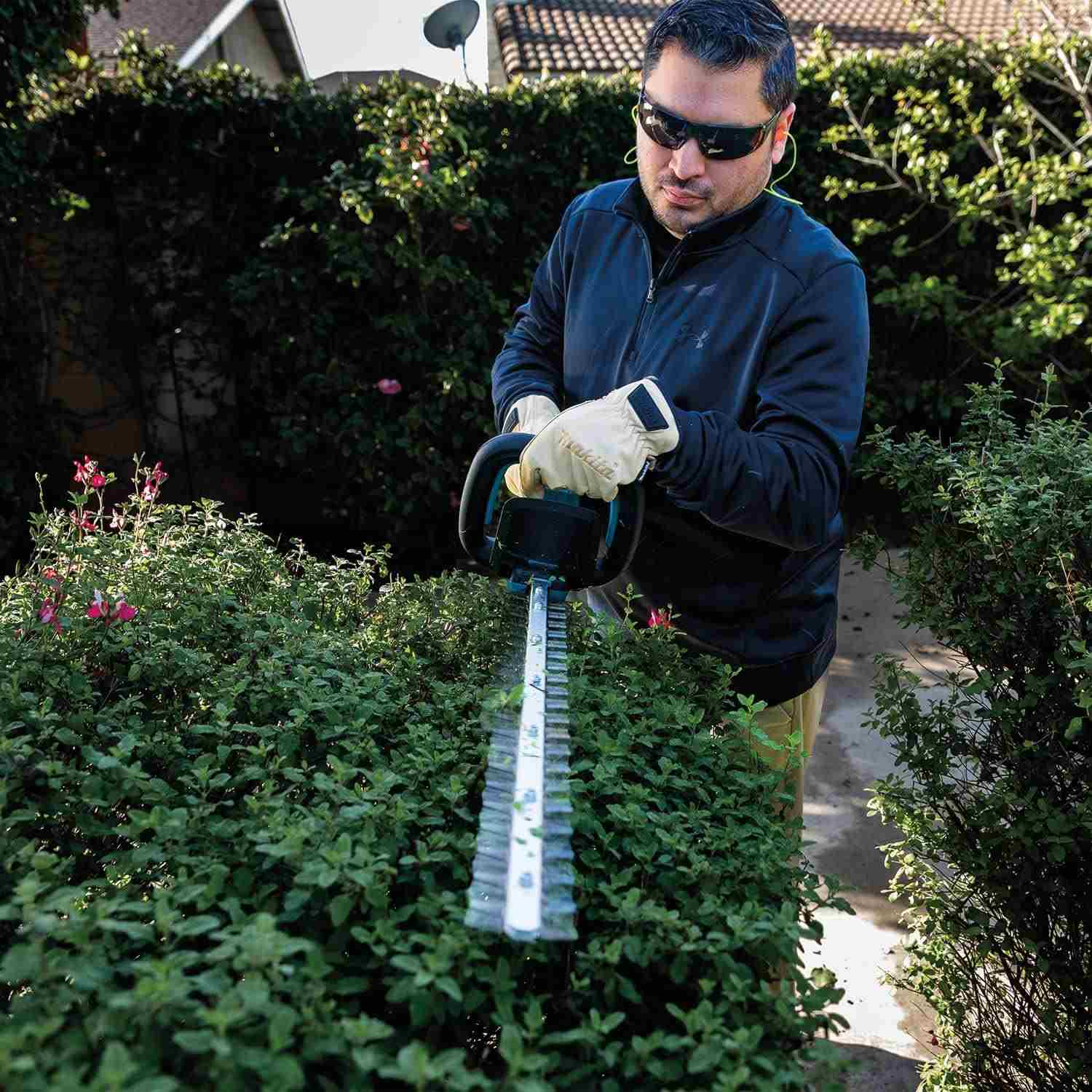 A professional landscaper wearing safety gear using the Makita 18V LXT brushless hedge trimmer to shape and prune a large garden shrub in a residential backyard.