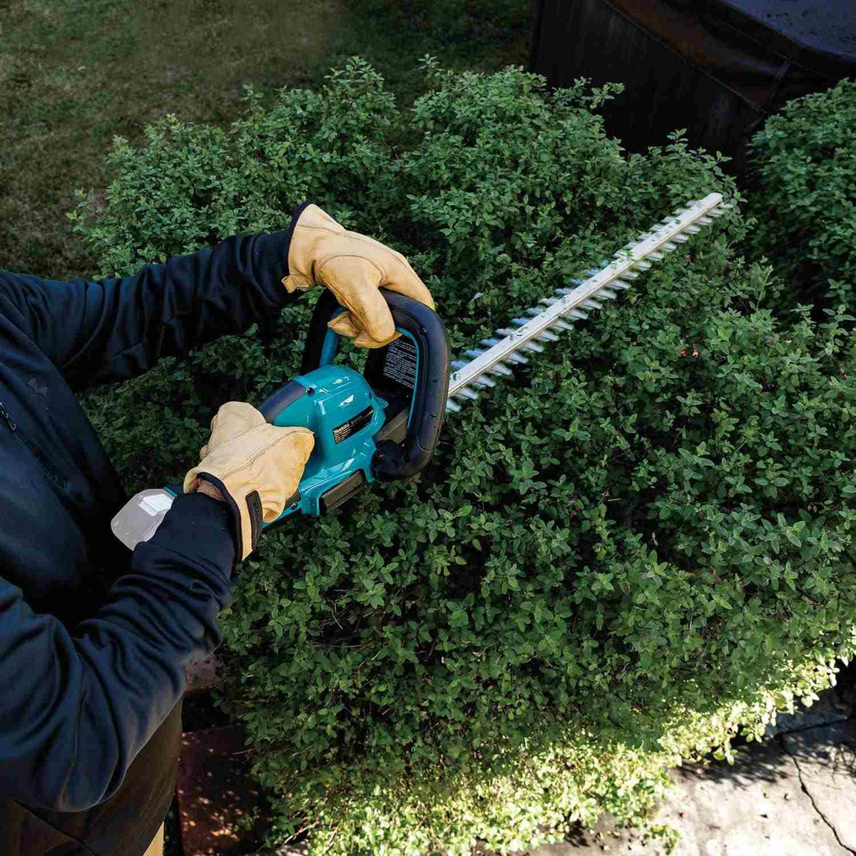 Action shot showing the Makita XHU09Z 24-inch cordless trimmer being used horizontally to level the top of a thick hedge, demonstrating the tool's balance and reach.