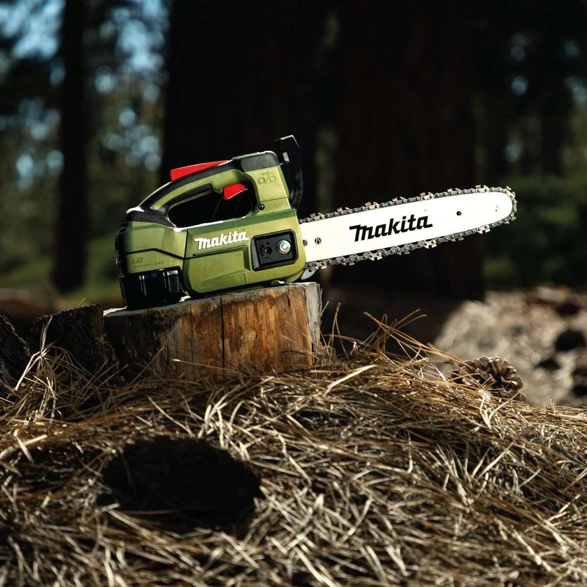 The Makita Outdoor Adventure 12 inch chain saw resting on a tree stump in a forest environment, showcasing its portability and specialized color for camping and hiking.