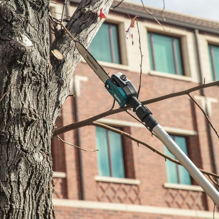 The Makita XAU02 telescoping pole saw in use, extended to cut a high branch off a thick tree trunk.
