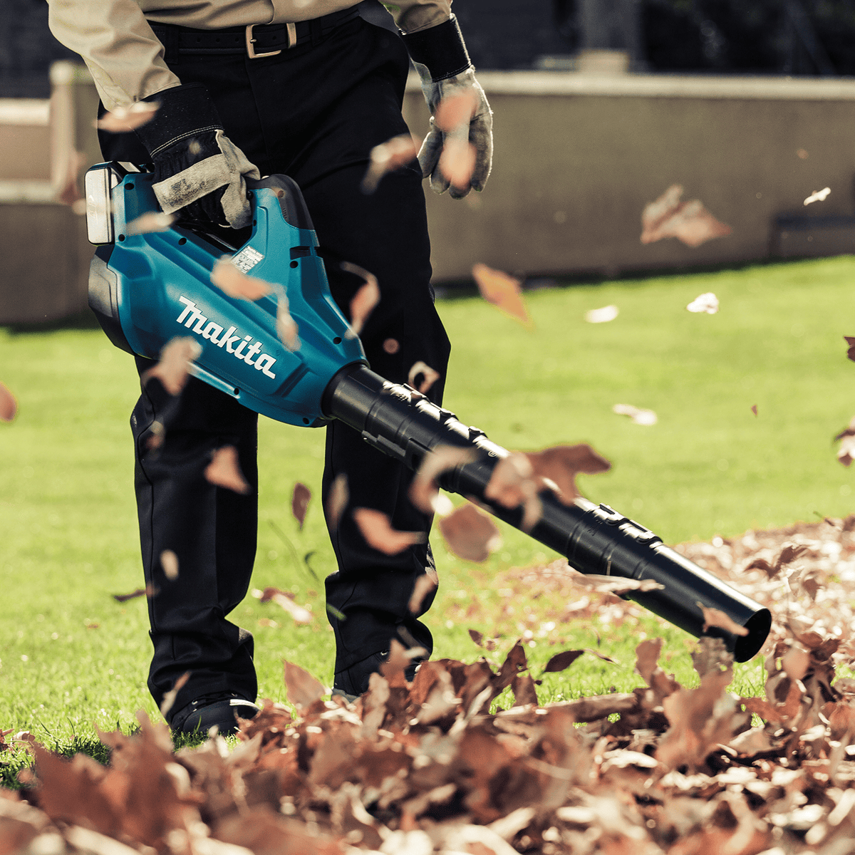 Landscaper using the Makita XBU02PT 36V handheld blower to push thick piles of dry autumn leaves across a grassy lawn at 473 CFM.