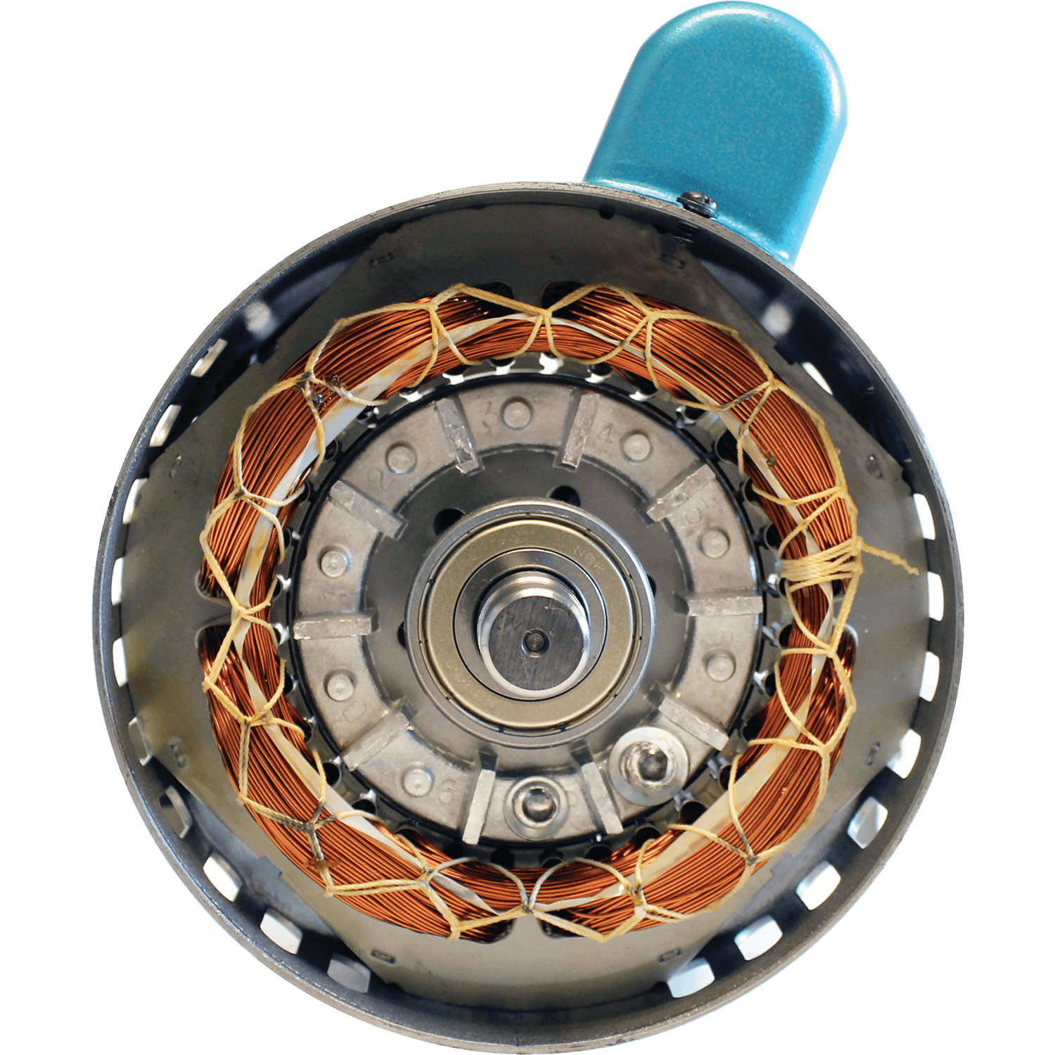Internal copper stator windings and precision sealed ball bearing assembly inside the Makita MAC700 2.0 HP electric motor.