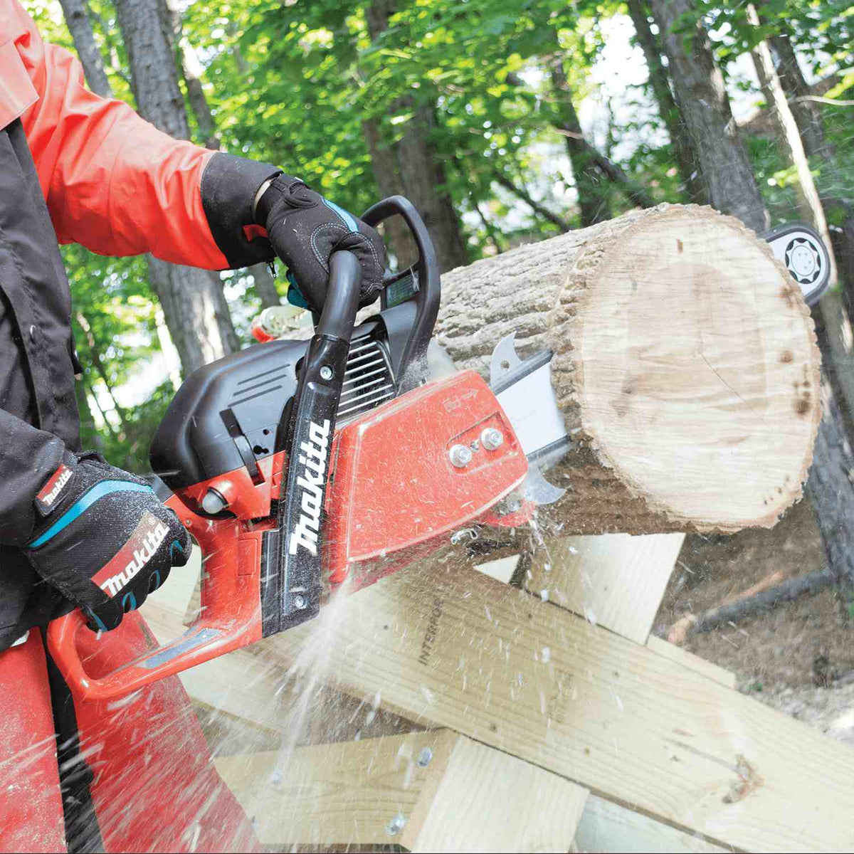 A user wearing orange protective safety gear cuts through a large fallen log with the Makita chainsaw, creating a spray of sawdust.