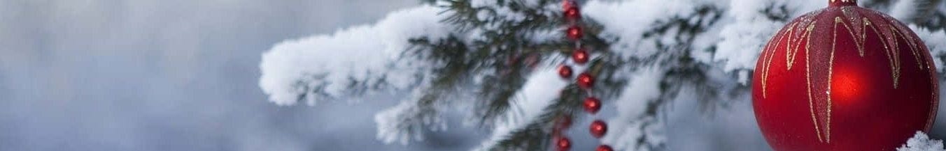 Red Christmas ornament on a snow-covered branch with a blurred snowy background