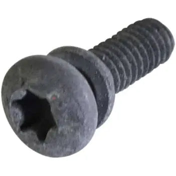 A single dark gray metal screw with a star-drive head and threaded shaft, shown on a plain white background.