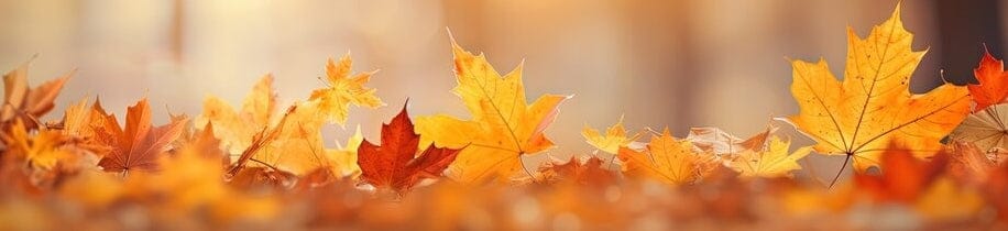 Scattered yellow and orange autumn maple leaves on a blurred warm-toned background with soft sunlight