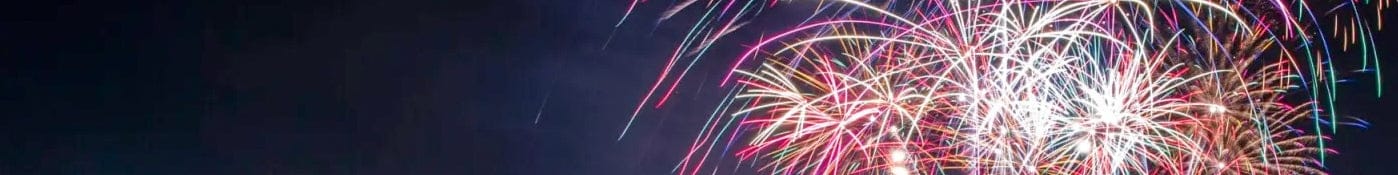 Fireworks can be seen in the background in bursts.