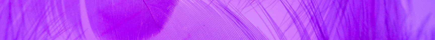 purple background with wisps of feathers