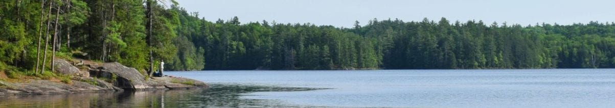 an image of summer by the lake