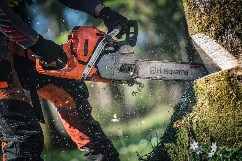 Load video: Person using a Husqvarna chainsaw to cut through a tree stump in a forest setting.