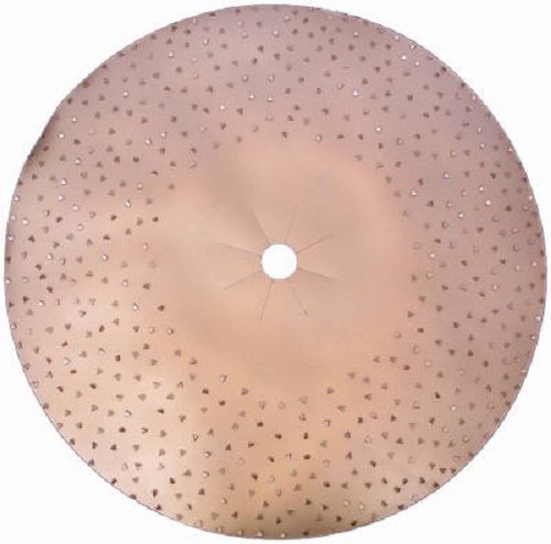 Load image into Gallery viewer, Virginia Abrasives 17&quot; Tungsten Carbide Abrasive Disc
